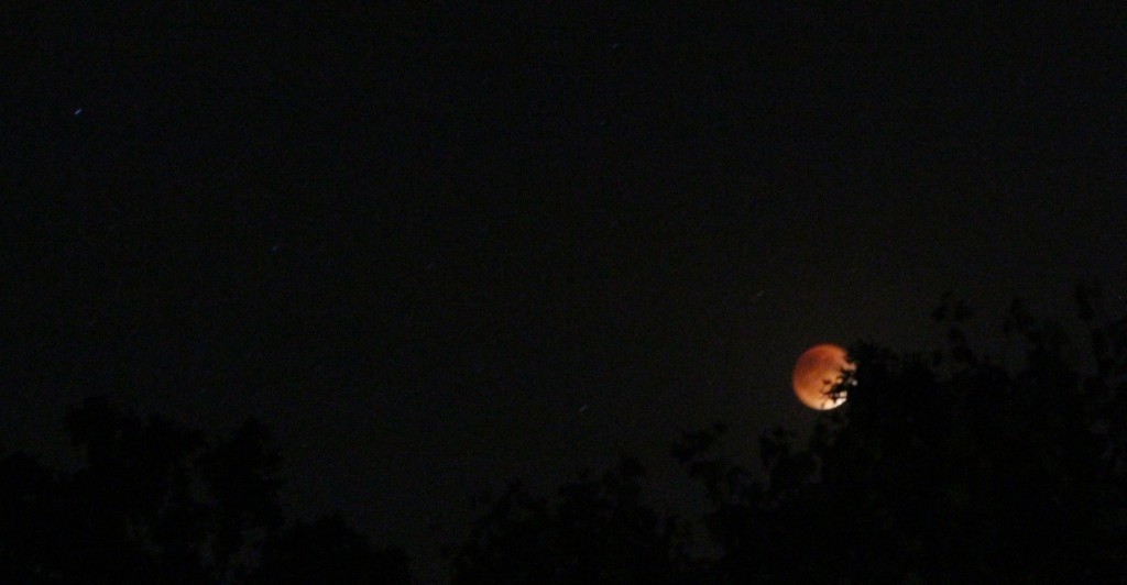 Super Blood Moon