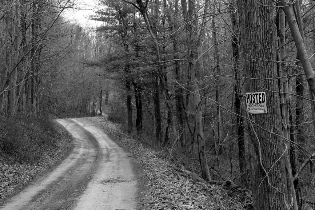 Posted Sign Says No Trespassing Allowed