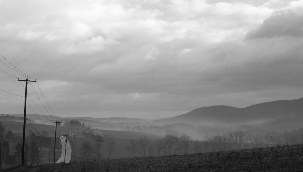 Foggy Mountain Morning