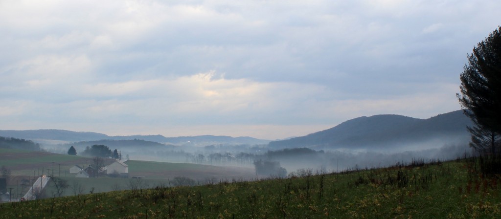 Foggy Morning in the Valley